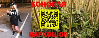 стафф Пугачёв