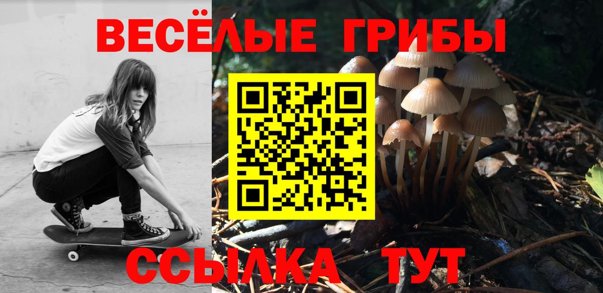 Псилоцибиновые грибы Psilocybine cubensis  Вход с VPN  Сафоново 